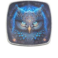 Magnet Vikings Eule eckig Metall